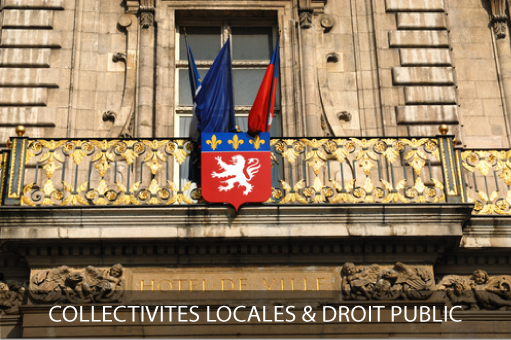 Domaines d'activités : Droit de la collectivité et droit public, hélios avovats Domaines d'activités : Droit de la collectivité et droit public, hélios avovats